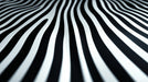 Black and White Stripe Mural Wallpaper in Bedroom | Black and White Stripe