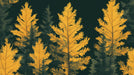 Green and Yellow Pine Tree Mural Wallpaper in Living Room | Green, Yellow Pine Trees