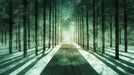 Snowy Forest Mural Wallpaper in Study Room | Green, Blue Snowy Forest