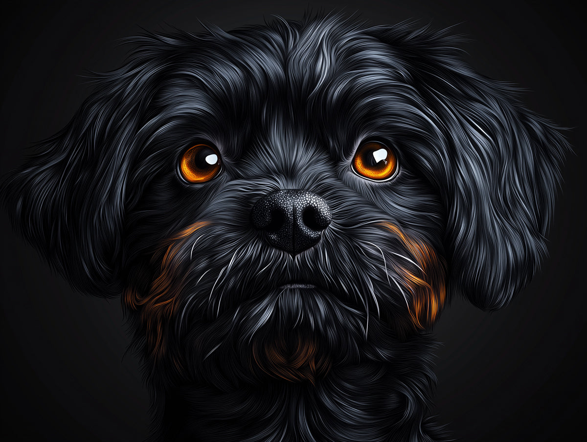 Intense - eyed Dog Mural Wallpaper | Black - background with Rich Fur Detail