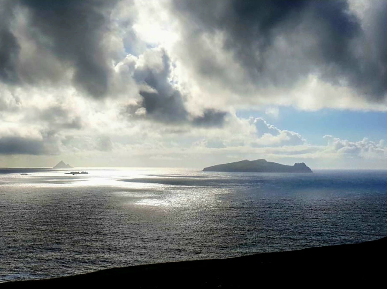 Antoinette Custom Peel and Stick Wall Mural – 300×200 cm | Personalized Self-Adhesive Wallpaper | Vivawalls