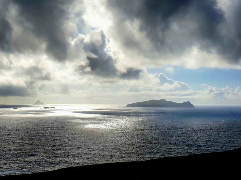 Antoinette Custom Peel and Stick Wall Mural – 300×200 cm | Personalized Self-Adhesive Wallpaper | Vivawalls